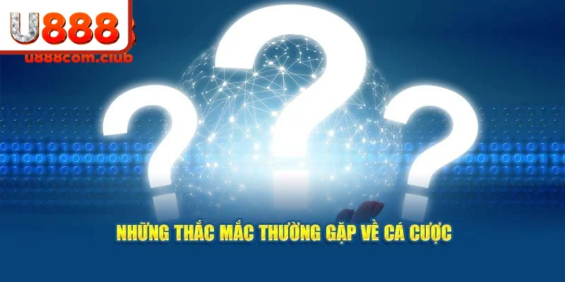 Nếu có gặp khó khăn, hãy liên hệ ngay đội ngũ CSKH để được hỗ trợ