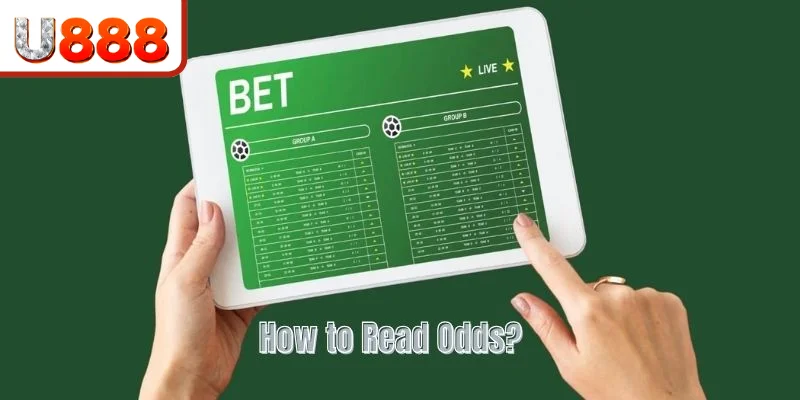 Cách đọc thông số có trong bảng cược của hệ thống U888