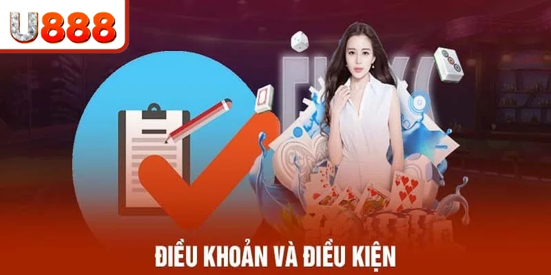 Vai trò quan trọng của điều khoản và điều kiện