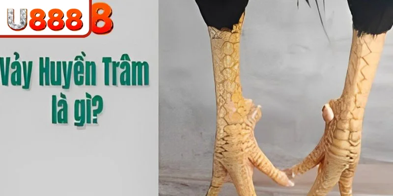 Những ý nghĩa ngầm về loại vảy này