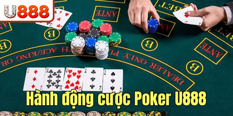 Các hành động cược trong game Poker trực tuyến Các hành động cược trong game Poker trực tuyến