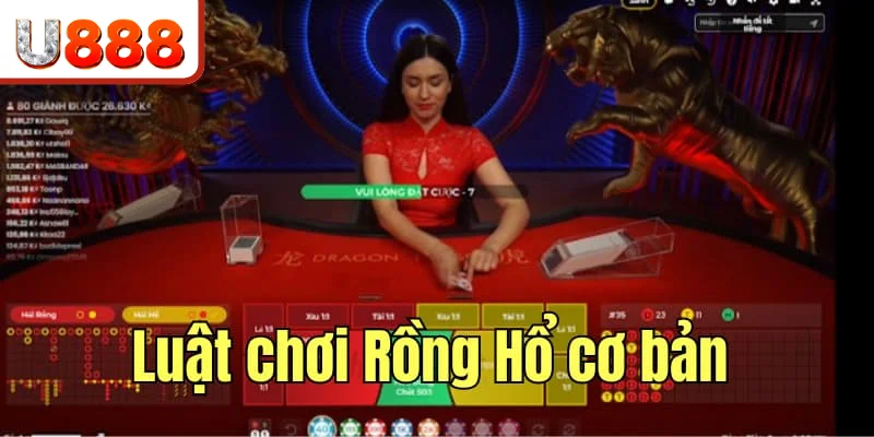 Luật chơi Rồng Hổ cơ bản phải ghi nhớ kỹ
