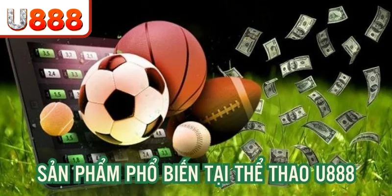 Nền tảng cung cấp da dạng sản phẩm cá độ trực tuyến thú vị Nền tảng cung cấp da dạng sản phẩm cá độ trực tuyến thú vị