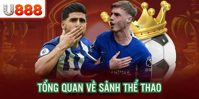 Thông tin tổng quan về sảnh cược sports U888 Thông tin tổng quan về sảnh cược sports U888